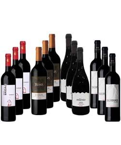 Autumn Wine Selection Pack 12 bottles of 750ml each