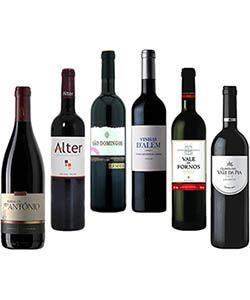 Excellent Value Red Wine Tasting Selection Pack 6 bottles of 750ml each