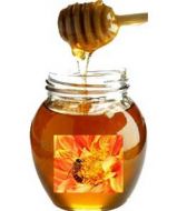 Mel Joaninho Eucalipto - Eucalyptus Honey 150g