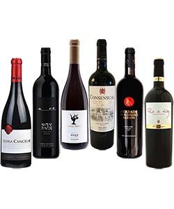 Top Red Wines Selection Pack 6 bottles of 750ml each