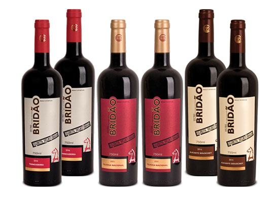 Single Grape Varieties Bridao Tejo Wine Selection Pack 6 bottles of 750ml each